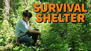 Building Primitive Shelter From Nothing With my Son