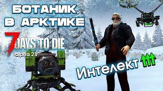 Хардкор в Зиме через Интеллект. 7 Days to Die #1