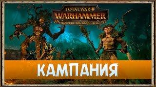 Лесные эльфы - Прохождение кампании | Total War: WARHAMMER