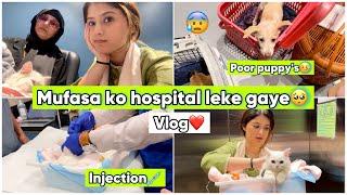 Mufasa ko hospital le gaye | Vlog | Arishfa khan