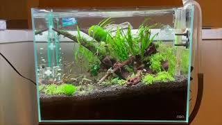 The hilarious Fluval Flora Anoxic reset video by: Pecktec & Andy’s anoxic filtration build.