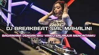 DJ BREAKBEAT SIAL MAHALINI √ BAGAIMANA DENGAN AKU YANG TERLANJUR MENCINTAIMU FULL BASS REMIX