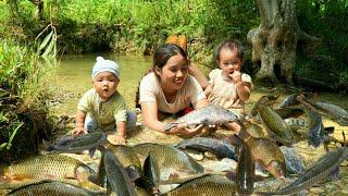 Encounter huge schools of fish - catch fish and fish traps on rainy and windy days