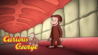Curious George   George Learns About the Human Body   Kids Cartoon   Kids Movies