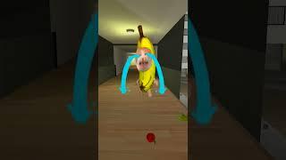 Bananacat With Friends #gmod 