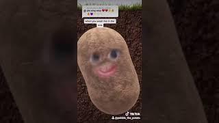 Wap (Wet as Potato) Tiktok by Pebble the Potato