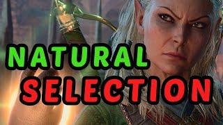 The BEST SPORE DRUID in Baldur's Gate 3 - Detailed Jaheira / Halsin Honour Build Guide