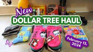 DOLLAR TREE HAUL!  Fun finds! February 13, 2024