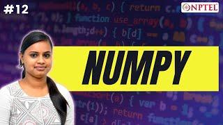 #12 Numpy | Python for Data Science