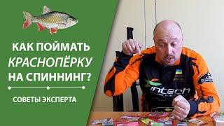 Как поймать краснопёрку на спиннинг? | Cоветы эксперта