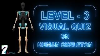 Visual Quiz on Human Skeleton (Level - 3)