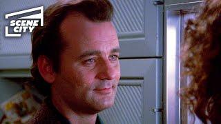 Ghostbusters: Venkman Inspects Dana's Apartment (Bill Murray HD Clip)