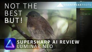 Luminar Neo SuperSharp AI Review - Better than Topaz Sharpen AI?