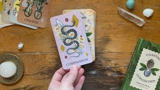 Flip Through of Coastal Curiosities Oracle Deck 2nd Edition