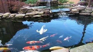 BEAUTIFUL! 100+ FISH POND DESIGN WITH WATERFALL | TIPS TO ELEVATE OUTDOOR WITH POND WATERFALLS IDEAS