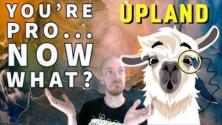 Upland Game Strategy // WHAT TO DO AFTER PRO // My strategy for making UPX at Pro level and above!