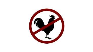 This is not Coq