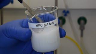 Examination on microfibrillated cellulose for latex paints