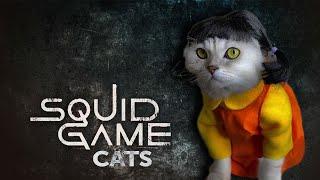 Squid Game Cats Tiktok #shorts