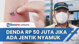 Warga Jaktim Bakal Kena Denda Rp 50 Juta Jika di Rumah Ada Jentik Nyamuk, Sudah 24 Warga Dapat SP