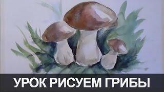 Урок рисования рисуем Гриб акварелью