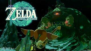 The Legend of Zelda: Tears of the Kingdom - Frox Mini Boss
