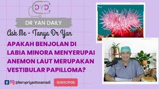 Ask Me | KUTIL KELAMIN | Apakah Benjolan di Labia Minora Mirip Anemon Laut Itu Vestibular Papilloma?