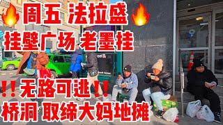 周五，法拉盛，挂壁广场，老墨挂，桥洞取缔大妈地摊，无路可逃，烤鸭濑粉好吃，性价比高， 2024年12月27日