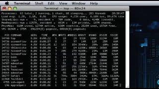 Terminal Tip: top