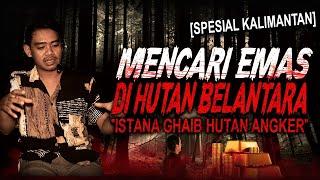 HATI2 JANGAN SEMBARANGAN MASUK HUTAN KALIMANTAN !! KISAH MISTIS BERBURU EMAS ISTANA GHAIB