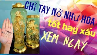 Bí ẩn Chỉ  tay nở hoa có  liên quan gì  đến  bệnh tim và  triệu  chứng đột quỵ,xem ngay kẻo tiếc