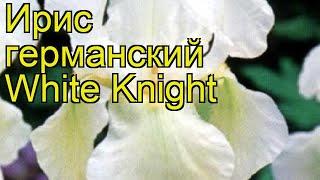 Ирис германский Уайт Найт. Краткий обзор, описание характеристик iris germanica White Knight