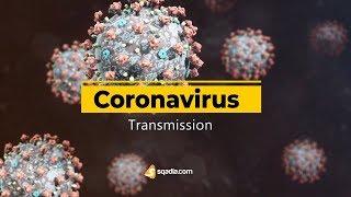 Coronavirus Transmission | COVID-19 | Wash Hands | Stay Home | sqadia.com
