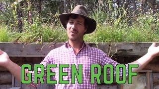 HOW TO  BUILD A GREEN ROOF!