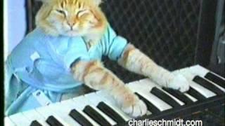 Keyboard Cat Behind The Scenes! - SHOCKING NEW FOOTAGE!