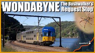 Wondabyne // The Request Stop In A National Park!