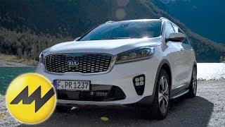 Konkurrenz für Premium SUVs? | Kia Sorento | Motorvision