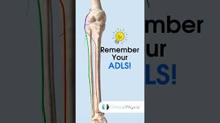 Memory Aid for nerves of lower limb:  ADLS