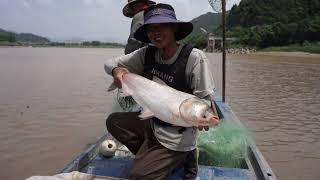 Immersive experience of traditional Chinese fishing！