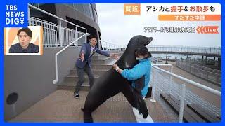 “海の生き物”と握手ができる！関東最大級の水族館に新スポット誕生【すたすた中継】｜TBS NEWS DIG