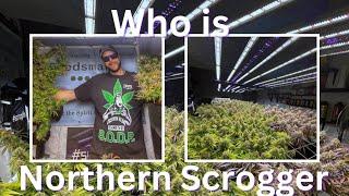 Who is Northern Scrogger and what is scrogging?- (S2 EP3)