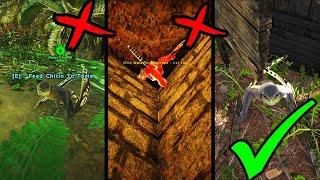 Ark Best and Fastest Sinomacrops tame method (100% STILL WORKING 2022)