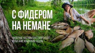 ЛЕЩ клюет! Фидерная РЫБАЛКА на реке НЕМАН в Беларуси. Настины Снасти #2