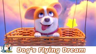 House Has a Short-leg  | Dog's Flying Dream 想飛的狗 | FlyingMOCO Fun Cartoon飞狗MOCO家有小短腿(2022)