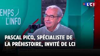 Pascal Picq, spécialiste de la Préhistoire, invité de LCI