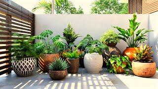 Courtyard Oasis: Embrace Greenery with Elegant Planters