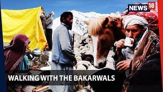 Walking With the Bakarwals | Through Jammu and Kashmir with the nomads | News18 Originals