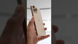 iPhone 16 Pro Max Desert Titanium Hands-On 