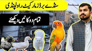 Sunday Birds Market Rawalpindi | College Road Birds Market Rawalpindi Overview