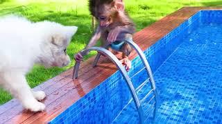 BEBE SINGE A LA PISCINE 